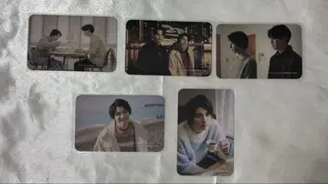 혼다 히비키야 잭 프로스트 포토 카드