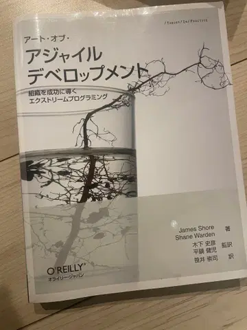 아트 오브 애자일 개발