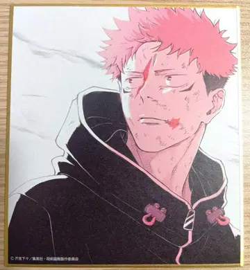 애니메이션 주술회전전 시부야 사변 블라인드 미니 색지 이타도리 유우지