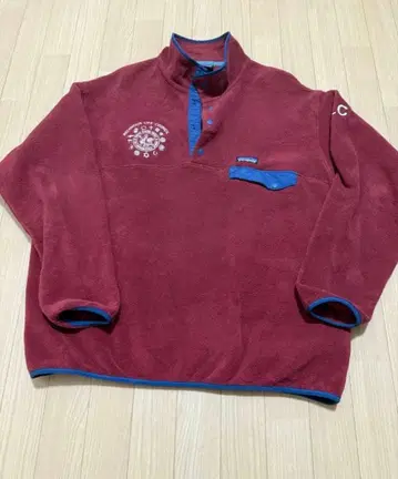 Patagonia 신틸라 스냅t