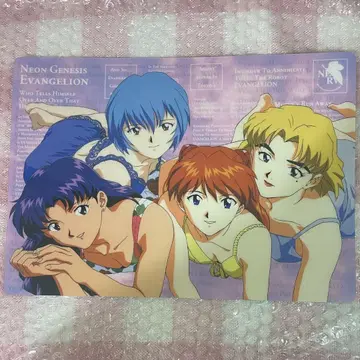 에반게리온 책받침