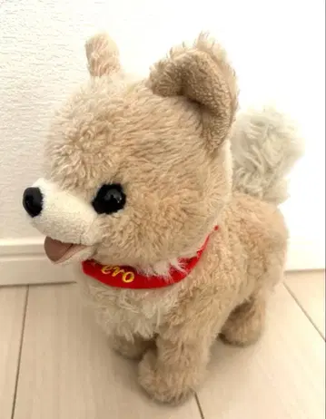 안아줘 큐트한 포메쨩