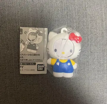 사진 프레임 마스코트 산리오 키티