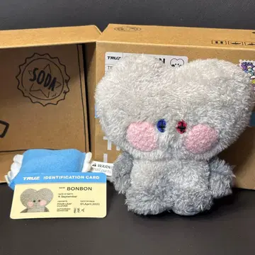 TREASURE 준규 TRUZ BONBON 봉제 인형 ID 카드 포함