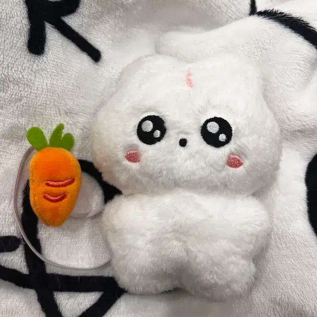 방탄소년단 BTS 정국 아기 토꾸꾸 인형