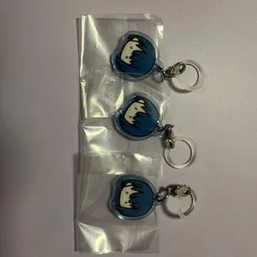 프로세카 메지루시 참 vol.2 키리타니 하루카 3개