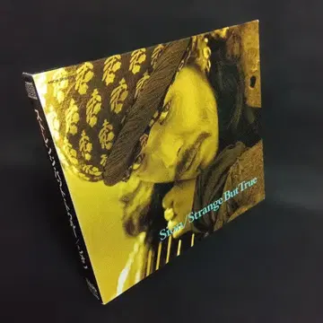 스트레인지.배드.트루/시온