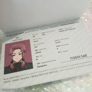 이토시 사에 여권 블루 록 카페 special trip 입장 혜택