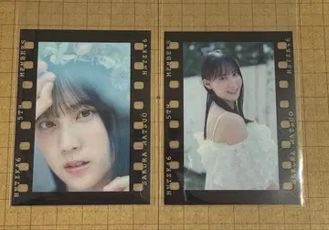 히나타자카46 5기생의 포카포카 사진관 랜덤 필름풍 스티커 마츠오 사쿠라