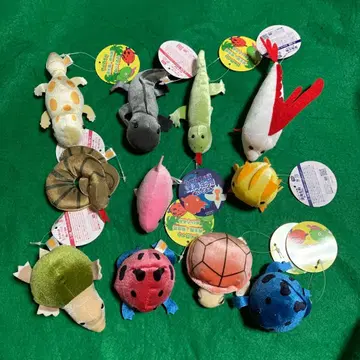 두근두근 양서류 파충류 심해 생물 봉제 인형