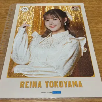 요코야마 레이나 핀포스 솔로