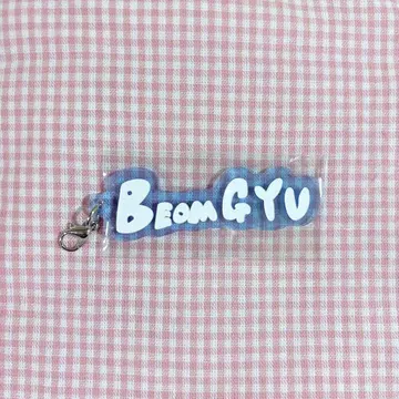 TXT 아크릴 참 범규