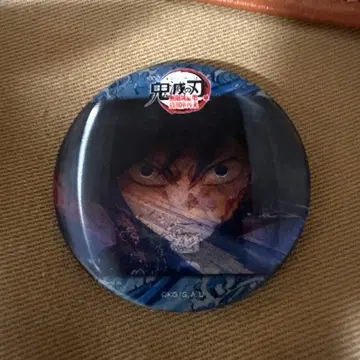 물의 호흡 애니메이션 캔뱃지 C 토미오카 기유