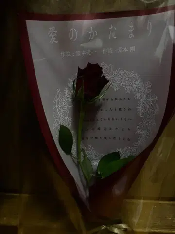 DOMOTO 사랑의 덩어리 이벤트 장미