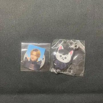 BALLISTIK BOYZ 카이누마 류세이 증명사진 스티커 키링