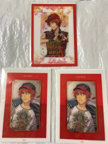 우타프리 비쥬카 오토야 솔로 앨범 샤니 페스티벌