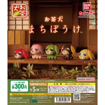 오차이누 기다림 전 종류 컴플리트