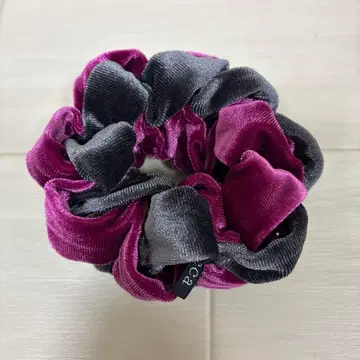 acca 아카 벨로아 스크런치