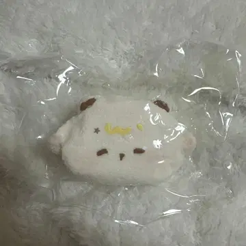 스퀴즈 찰칵 해외 스퀴즈