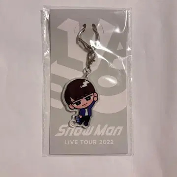 미개봉 와타나베 쇼타 스노치루 스노치루 매달리기 키링 SnowMan