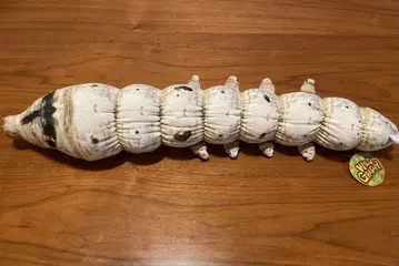 와일드 그래피 WILD GRAPHY 봉제 인형 카이코 (유충)