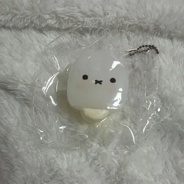 스퀴즈 찰칵 해외 스퀴즈