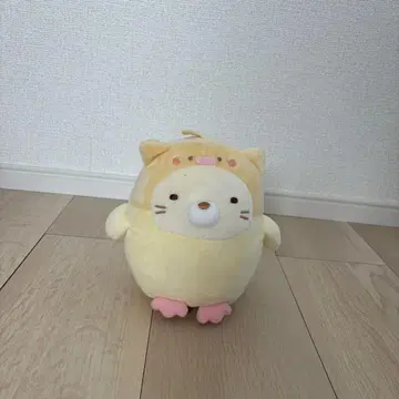 스미코구라시 모두 함께 코토리콧토 사이좋은 봉제 인형 고양이