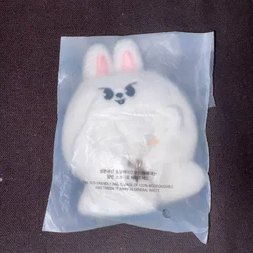 Stray Kids 리노 leebit 리빗 아웃핏