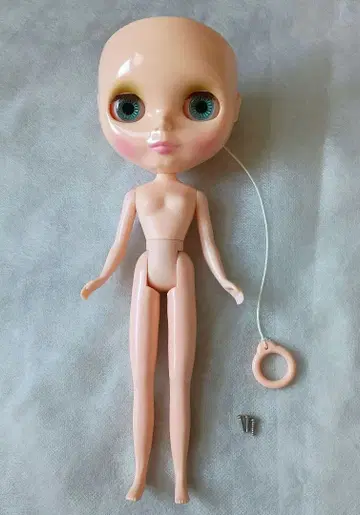 네오 브라이스 스코티맘 본체만 두피 없음