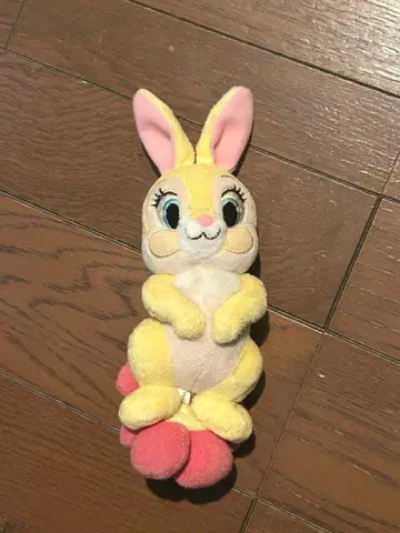 디즈니 바니쨩 봉제 인형 키링