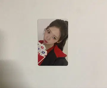 BABYMONSTER 로라 CHECK IN 복수 회장 트레이딩 카드