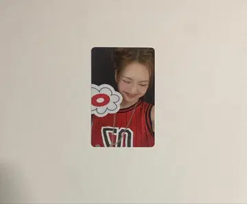 BABYMONSTER 치키타 CHECK IN 복수 회장 트레이딩 카드