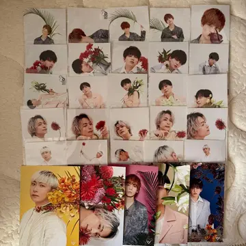 Da-iCE BILLION FLOWER GIFT 브로마이드 엽서