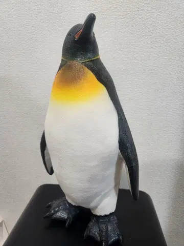 킹펭귄 비닐 모델