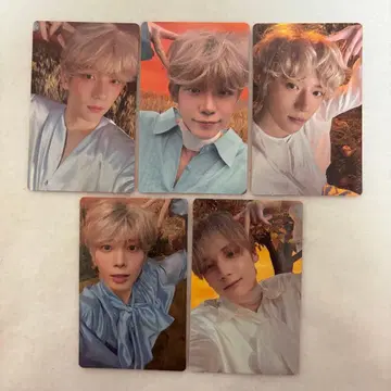 txt tomorrow light weverse global 혜택 컴프