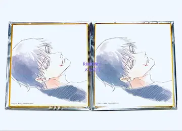 주술회전전 후시구로 토우지 회옥 옥절 블라인드 미니 색지