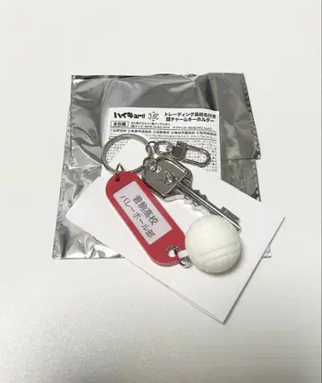 하이큐 트레이딩 고교명 부착 열쇠 참 키링 네코마 고교