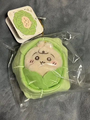 치이카와 베이비 양배추에 싸인 토끼