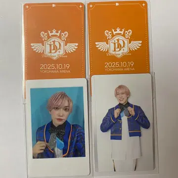 타이가 DDP 하피카 트레이딩 카드 팬더 드래곤 파라곤