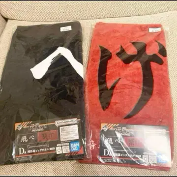 하이큐 제일복권 D상 현수막 빅 타월 카라스노 네코마 세트