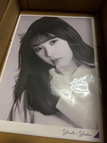 요다 유키 정전기 흡착 포스터 세트 흑백 포트레이트 노기자카46