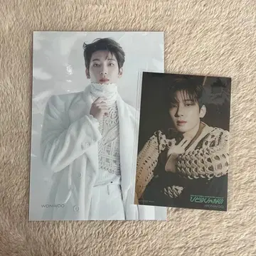 SEVENTEEN 원우 타워 레코드 플라이어 클리어 엽서