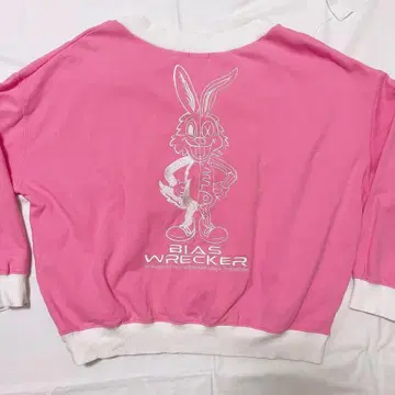 GYDA BICOLOR POSH BUNNY V넥 맨투맨 상의