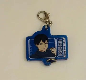 하이큐 코스모 월드 이어지는 아크릴 참 카게야마 토비오