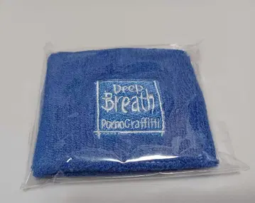 포르노그라피티 시마나미 로마포르 리스트 밴드