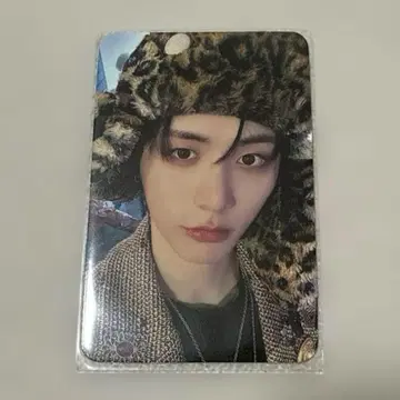 BOYNEXTDOOR 테산 WHY 트레이딩 카드