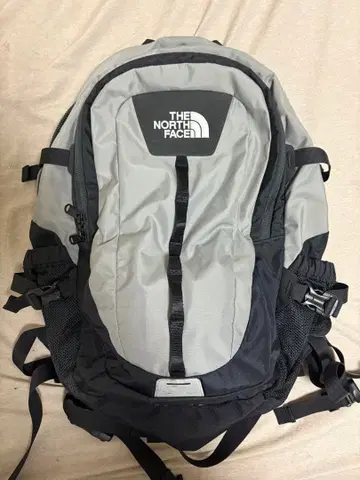 THE NORTH FACE 백팩 백팩 그레이 블랙