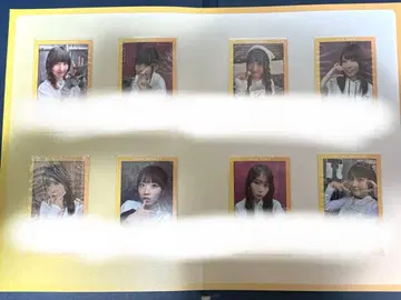 DIALOGUE+ 폴라로이드풍 사진 세트 댓글 포함