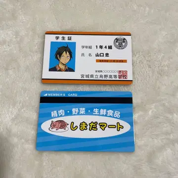 하이큐 버라이어티 카드 야마구치 2장 세트