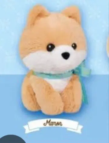 Lovely Puppy 포메라니안 BIG 봉제 인형 42cm